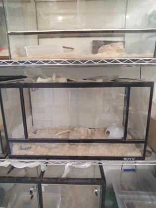 למכירה טרריום 80*45*40 של חברת