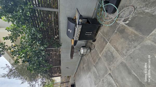 הלולב 21 (כצנלסון)