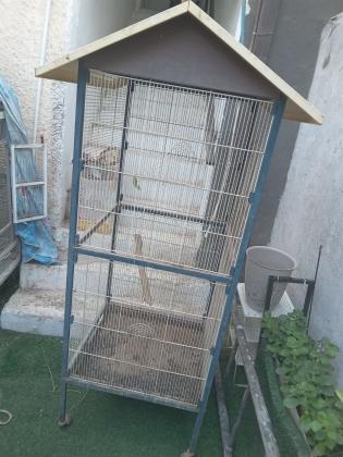 כלובים גדולים לתוכים למכירה