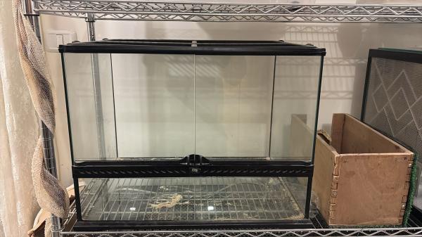 למכירה טרריום של אקזוטרה (החברה