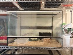 למכירה טרריום 70*50*45