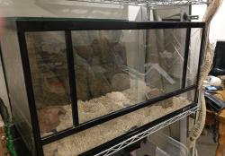 למכירה טרריום 80*45*40 של חברת