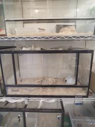 למכירה טרריום 80*45*40 של חברת