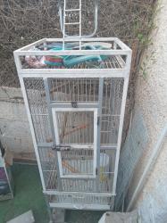 כלובים גדולים לתוכים למכירה