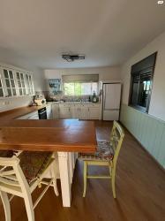 דאלית אל-כרמל 1