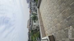 הלולב 21 (כצנלסון)