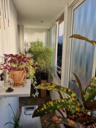 הקישון 55 (פלורנטין)