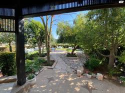 דאלית אל-כרמל 1