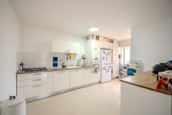 עץ האפרסק 12