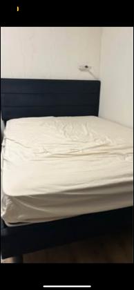 עוברת דירה ומוכרת את בסיס