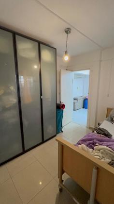 דנגור 10 (פרדס כץ ויסודות)