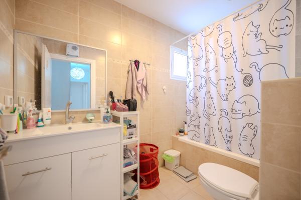 עץ האפרסק 12