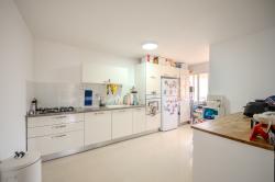 עץ האפרסק 12