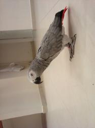 שמחה, חברותית, מפטפטת לעצמה, קוראת