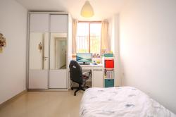 עץ האפרסק 12