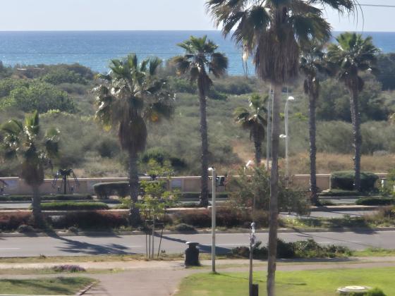 ארבע האמהות 33 (רובע טו)