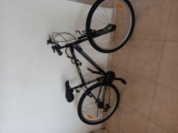 אופני הרים גודל סטנדרטי לאדם