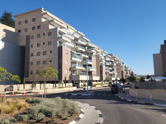 צורית 12