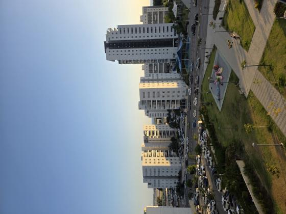 השחף 15