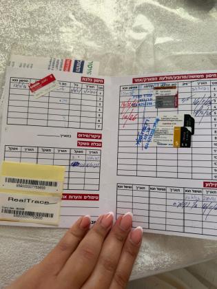 חצי פקינז חצי שיאצו בן 8 חודשים