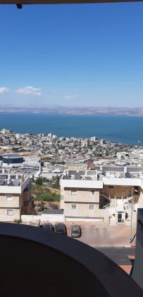 הדקל 38