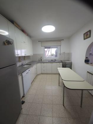 הרימון 14