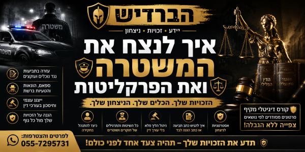 דיזנגוף 11