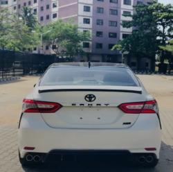 טויוטה C-HR (2019)