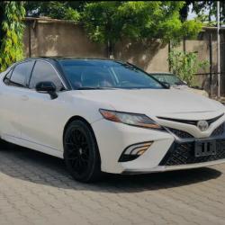 טויוטה C-HR (2019)