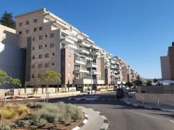 צורית 12