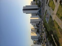 השחף 15