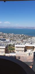 הדקל 38