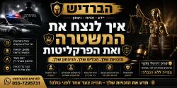 דיזנגוף 11