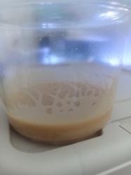 תרבית תולעי מיקרו (Microworms) –