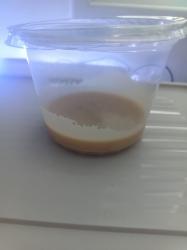 תרבית תולעי מיקרו (Microworms) –